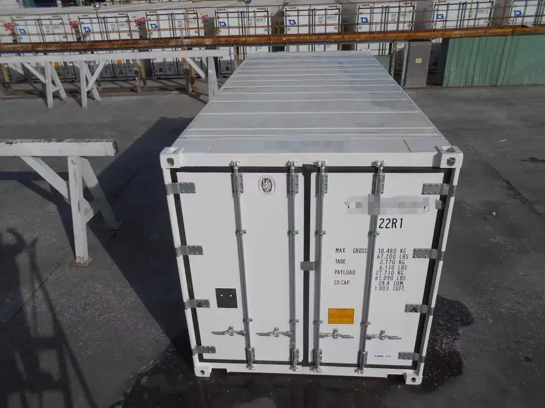 20 Giá Container Lạnh Mới: Bán Nóng Trái Cây/Rau Củ Tươi Gà Cá Thịt Theo Tiêu Chuẩn ISO hình ảnh 22-description