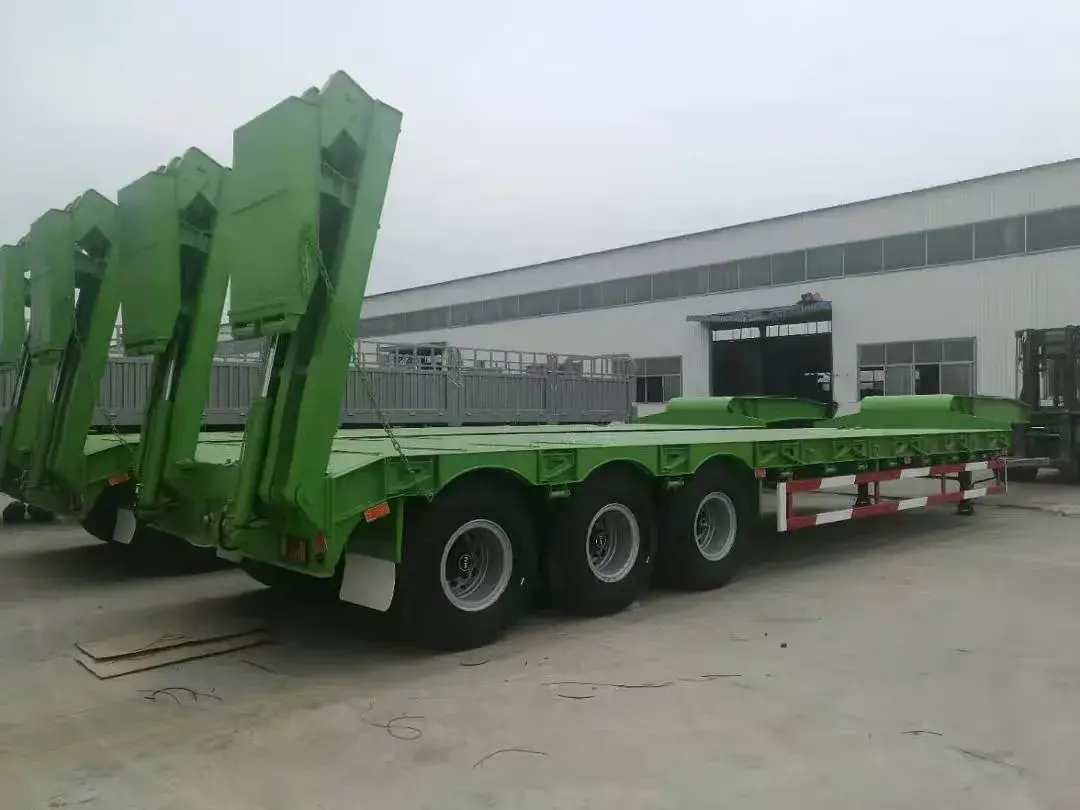 Bán Rơ Moóc Bán Tải Thấp Có Khả Năng Kéo Dãn Chengxin - Sản Phẩm Phổ Biến