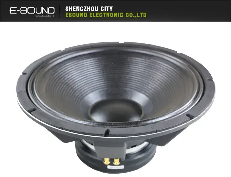 Diễn giả người bán hàng Gpi18100 phổ biến hình ảnh 7-description