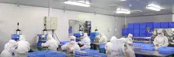 Cổng cấy ghép tĩnh mạch để thuận tiện trong điều trị hình ảnh 18-description