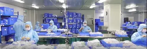 Cổng cấy ghép tĩnh mạch để thuận tiện trong điều trị hình ảnh 16-description