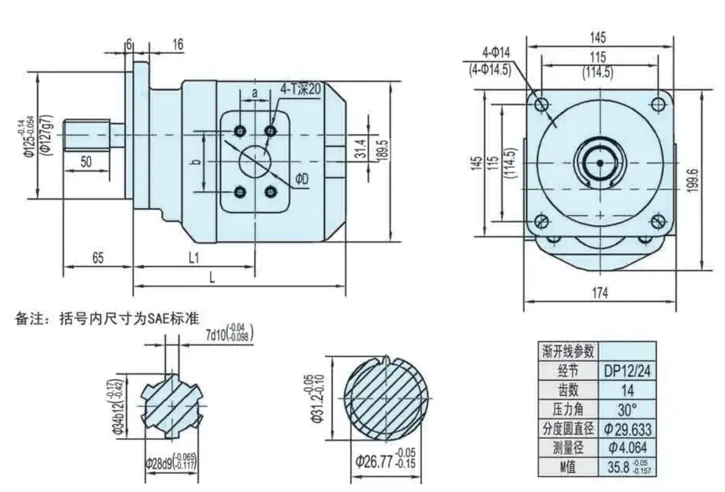 Bánh Răng Bơm Thủy Lực Cho Máy Xúc Tải - Phụ Tùng Chính Hãng Jhp3160 hình ảnh 18-description