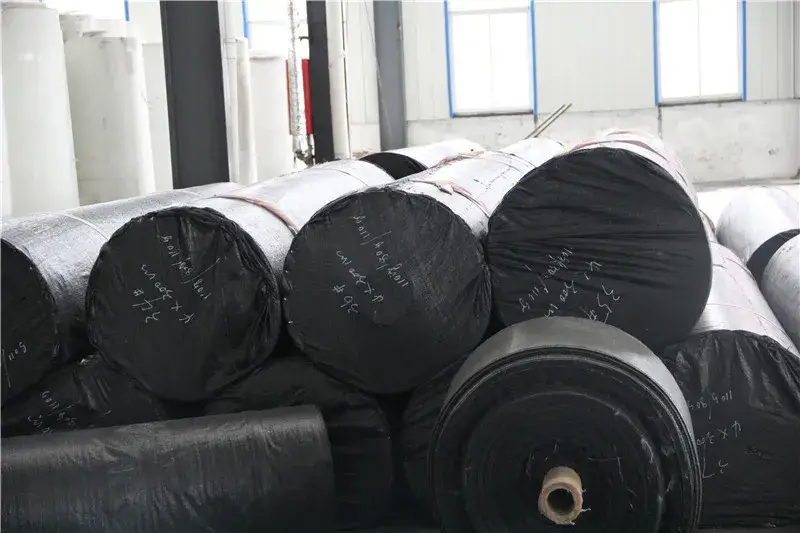 Màng chống thấm dùng trong nuôi tôm từ chất liệu LDPE và HDPE