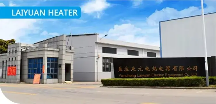 Bộ gia nhiệt điện trở dạng phẳng Laiyuan 220V 1500W 3u cho việc đun nước chìm hình ảnh 20-description
