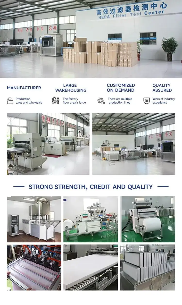 Tủ Bảo Quản Dòng Chảy Laminar - Sản phẩm có H14 Bộ Lọc HEPA cho môi trường làm việc an toàn hình ảnh 24-description