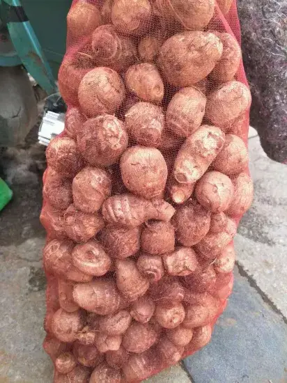 Phương pháp tính toán cho quá trình sản xuất túi đóng gói hành, rau củ và trái cây hình ảnh 1-description