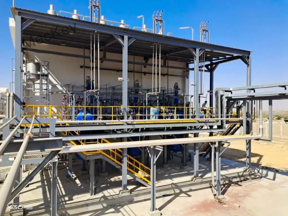 Dây chuyền sản xuất sorbitol tự động Meckey - Giải pháp hoàn hảo cho nhà máy sản xuất sorbitol và ngũ cốc