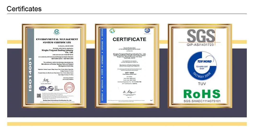 Đề xuất sản phẩm đáp ứng yêu cầu Reach và Rohs, với độ bền kéo cao và khả năng chịu nén tốt, sử dụng gioăng cao su với vòng O EPDM và vòng O FFKM hình ảnh 17-description