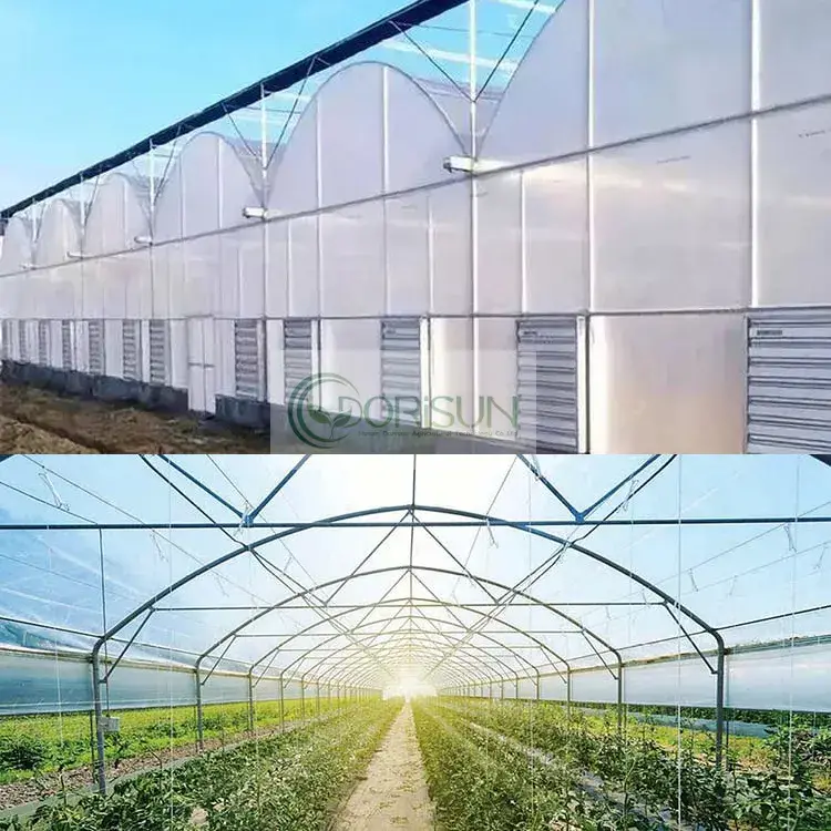 Giải pháp tưới tự động cho nhà kính khung nhôm với hệ thống quạt làm mát hiệu quả hình ảnh 12-description