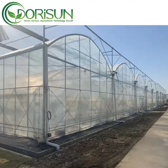 Giải pháp tưới tự động cho nhà kính khung nhôm với hệ thống quạt làm mát hiệu quả