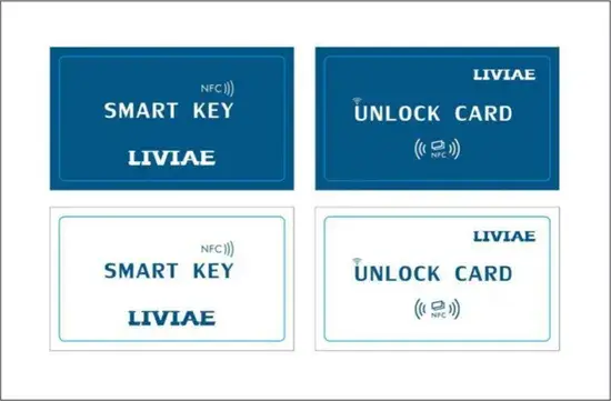 Molo 5 Xe điện hai động cơ cho người lớn - Pin lithium 30ah tháo rời, Tốc độ tối đa 75-85kmh