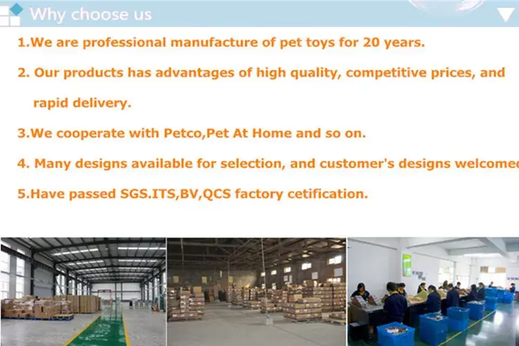 Thiết kế bát ăn cho chó từ sợi tre tự nhiên, thân thiện với môi trường hình ảnh 20-description