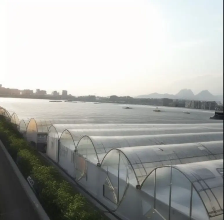 Giải pháp kính nhiệt đa span cho việc trồng ớt ở các quốc gia Tây Á