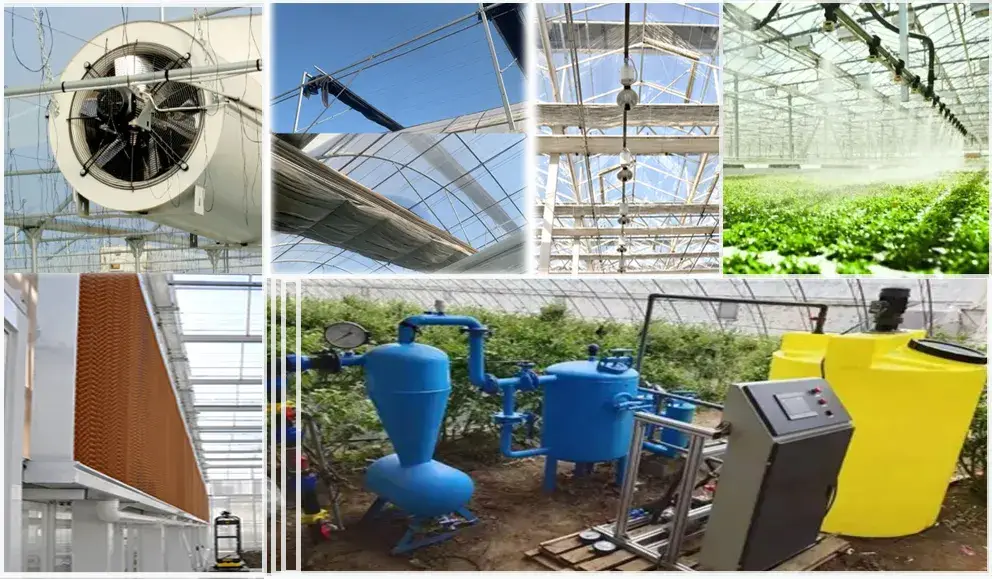 Giải pháp kính nhiệt đa span cho việc trồng ớt ở các quốc gia Tây Á hình ảnh 15-description