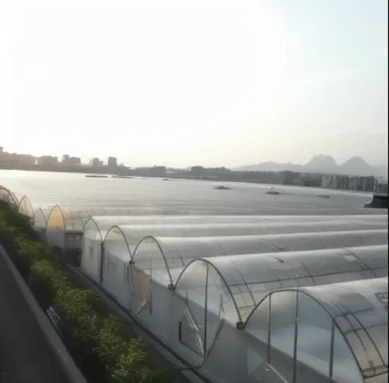 Giải pháp kính nhiệt đa span cho việc trồng ớt ở các quốc gia Tây Á