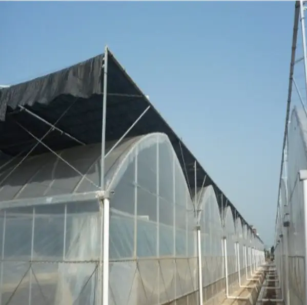 Giải pháp kính nhiệt đa span cho việc trồng ớt ở các quốc gia Tây Á