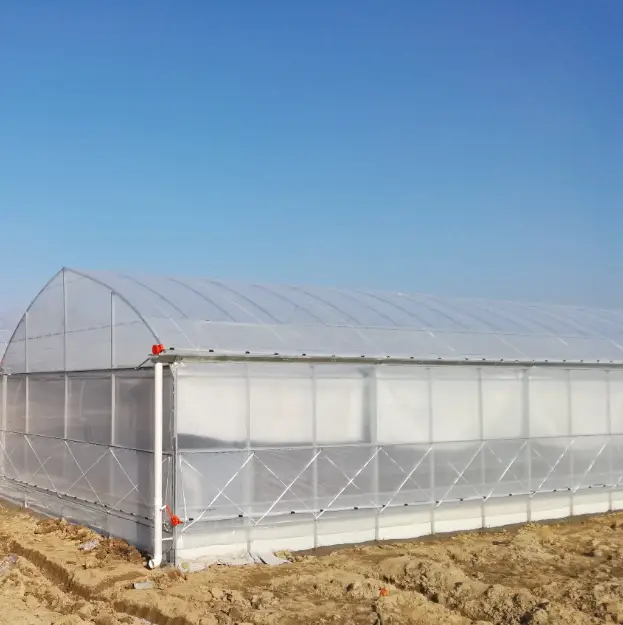 Giải pháp kính nhiệt đa span cho việc trồng ớt ở các quốc gia Tây Á