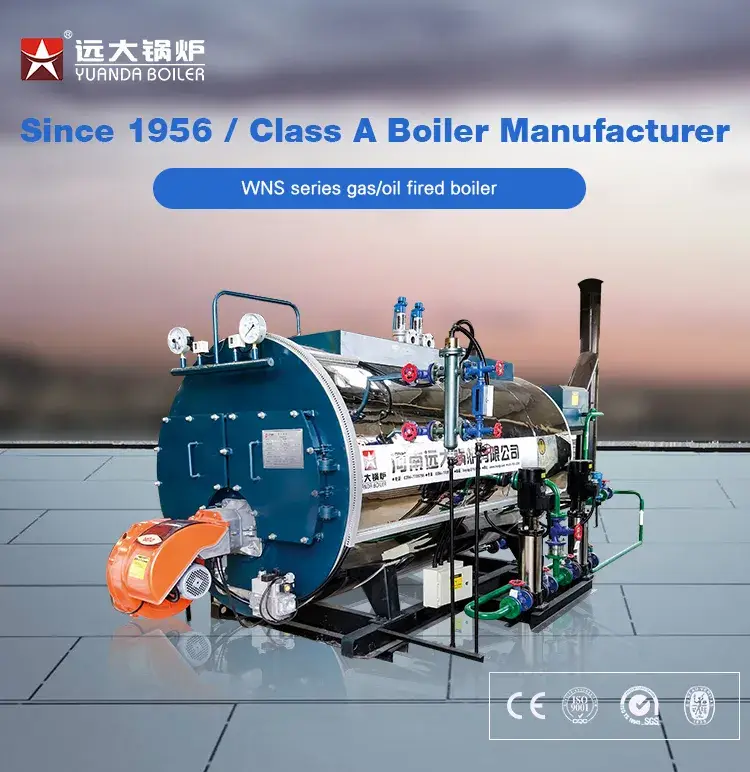 6 Tấn Nồi hơi Công nghiệp với Khí tự nhiên Dầu Diesel và Dầu hơi hình ảnh 12-description