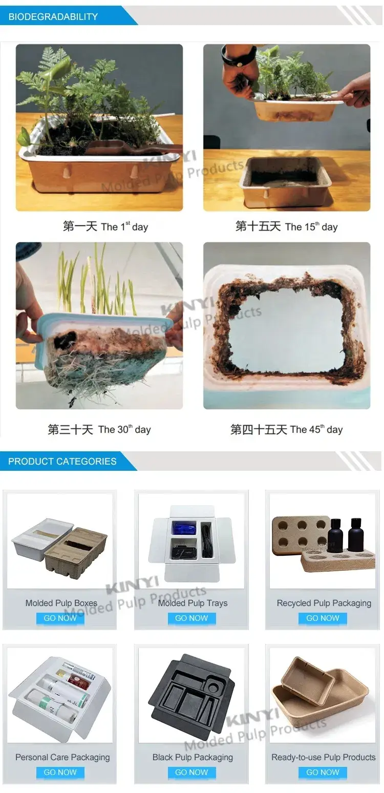 Hộp đựng sản phẩm từ chất liệu bột giấy tái chế, thân thiện với môi trường, phù hợp cho bánh, trà và rau hình ảnh 15-description