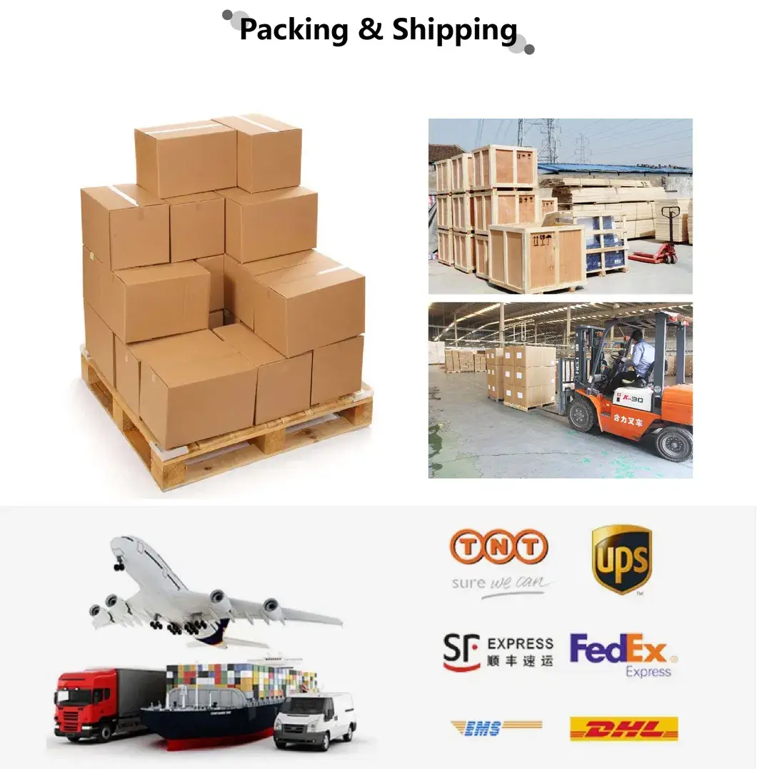 Bàn chải công nghiệp làm sạch rau củ và trái cây bằng chất liệu nylon hình ảnh 21-description