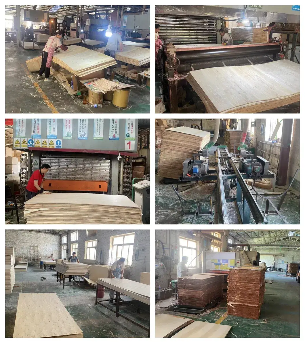 Cửa Okoume Sapele Plywood - Kích Thước 930X2150X2.4mm hình ảnh 20-description
