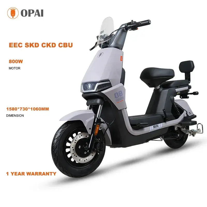 Opai Mẫu Mới 10inch 60V 8-28ah 800W: Xe Đạp Điện Tải Hàng Dành Cho Cả Nam và Nữ