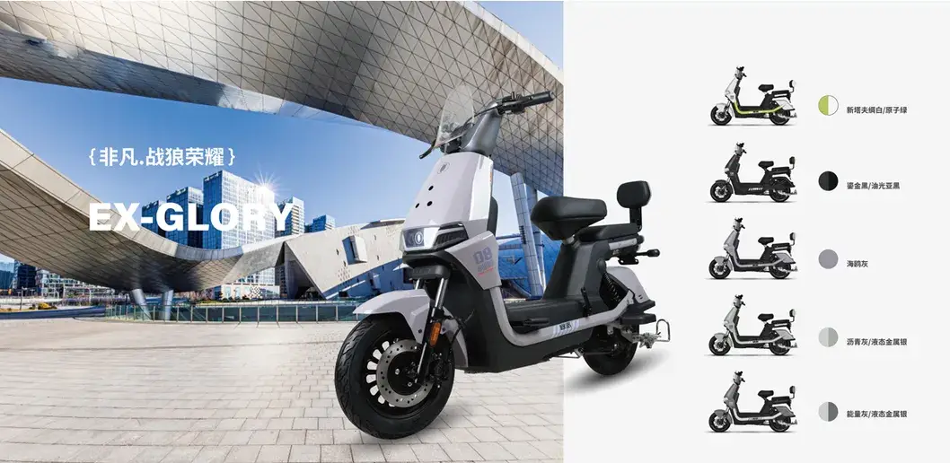 Opai Mẫu Mới 10inch 60V 8-28ah 800W: Xe Đạp Điện Tải Hàng Dành Cho Cả Nam và Nữ hình ảnh 7-description