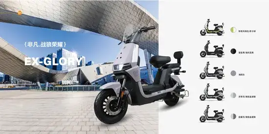 Opai Mẫu Mới 10inch 60V 8-28ah 800W: Xe Đạp Điện Tải Hàng Dành Cho Cả Nam và Nữ