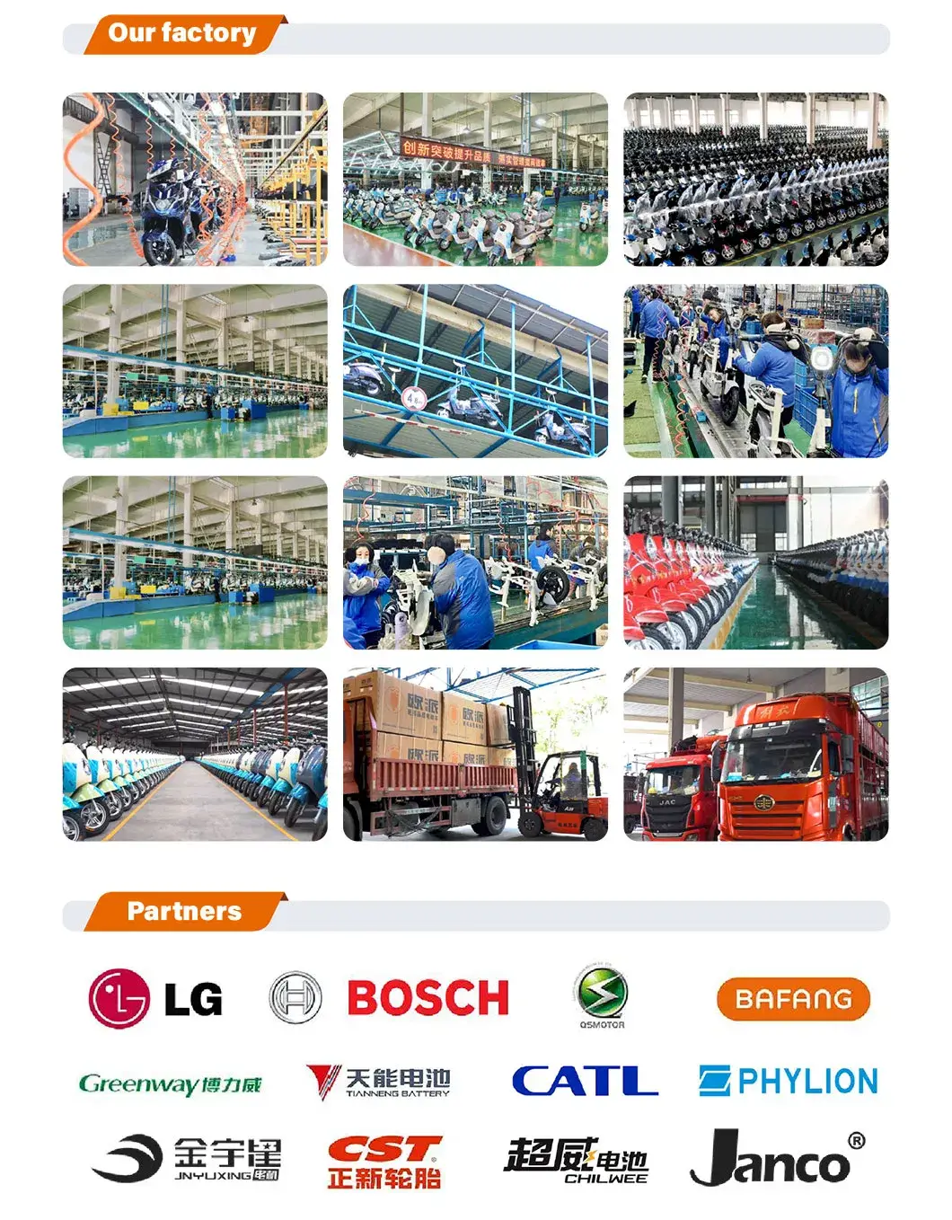 Opai Mẫu Mới 10inch 60V 8-28ah 800W: Xe Đạp Điện Tải Hàng Dành Cho Cả Nam và Nữ hình ảnh 11-description