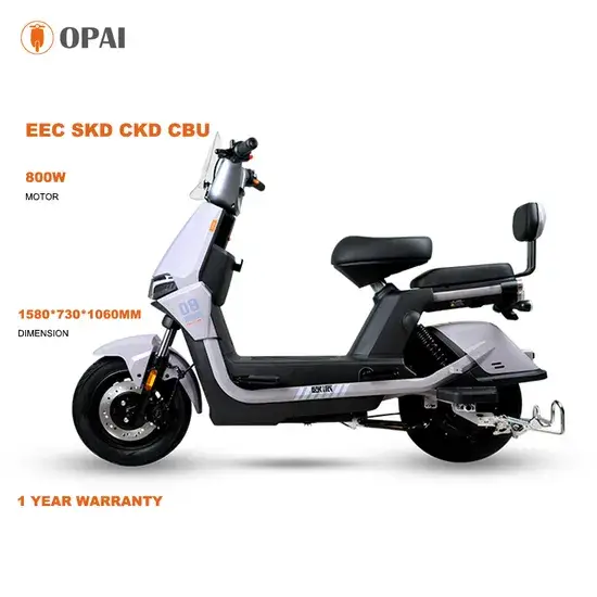 Opai Mẫu Mới 10inch 60V 8-28ah 800W: Xe Đạp Điện Tải Hàng Dành Cho Cả Nam và Nữ