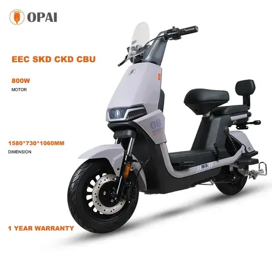 Opai Mẫu Mới 10inch 60V 8-28ah 800W: Xe Đạp Điện Tải Hàng Dành Cho Cả Nam và Nữ hình ảnh 1-description