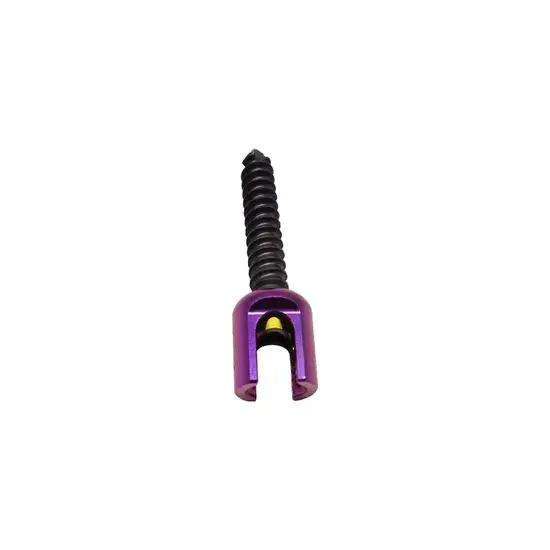 Giải pháp cấy ghép vít pedicle cột sống cho việc cố định chỉnh hình cột sống