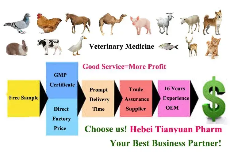 Oxy hóa dung dịch 20% - Phòng ngừa bệnh lây nhiễm cho đàn dê, bò, ngựa hình ảnh 9-description