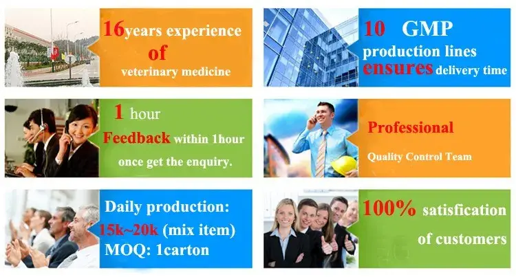 Oxy hóa dung dịch 20% - Phòng ngừa bệnh lây nhiễm cho đàn dê, bò, ngựa hình ảnh 13-description