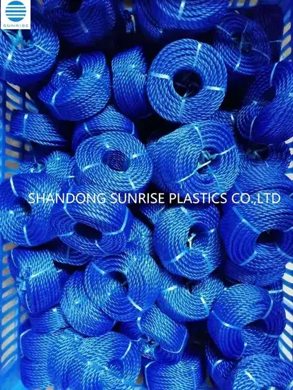 Dây câu cá PE: Lựa chọn màu sắc đa dạng