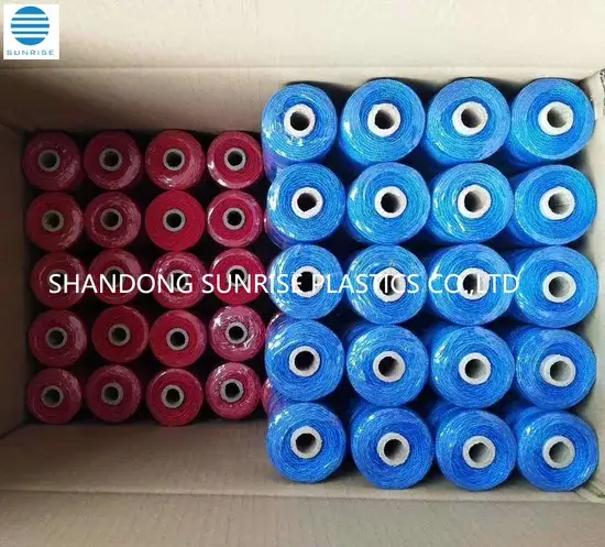 Dây câu cá PE: Lựa chọn màu sắc đa dạng