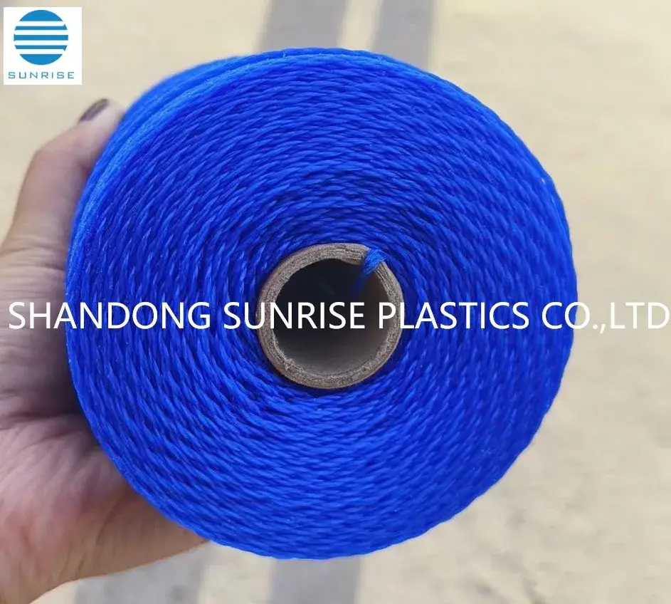 Dây câu cá PE: Lựa chọn màu sắc đa dạng hình ảnh 14-description