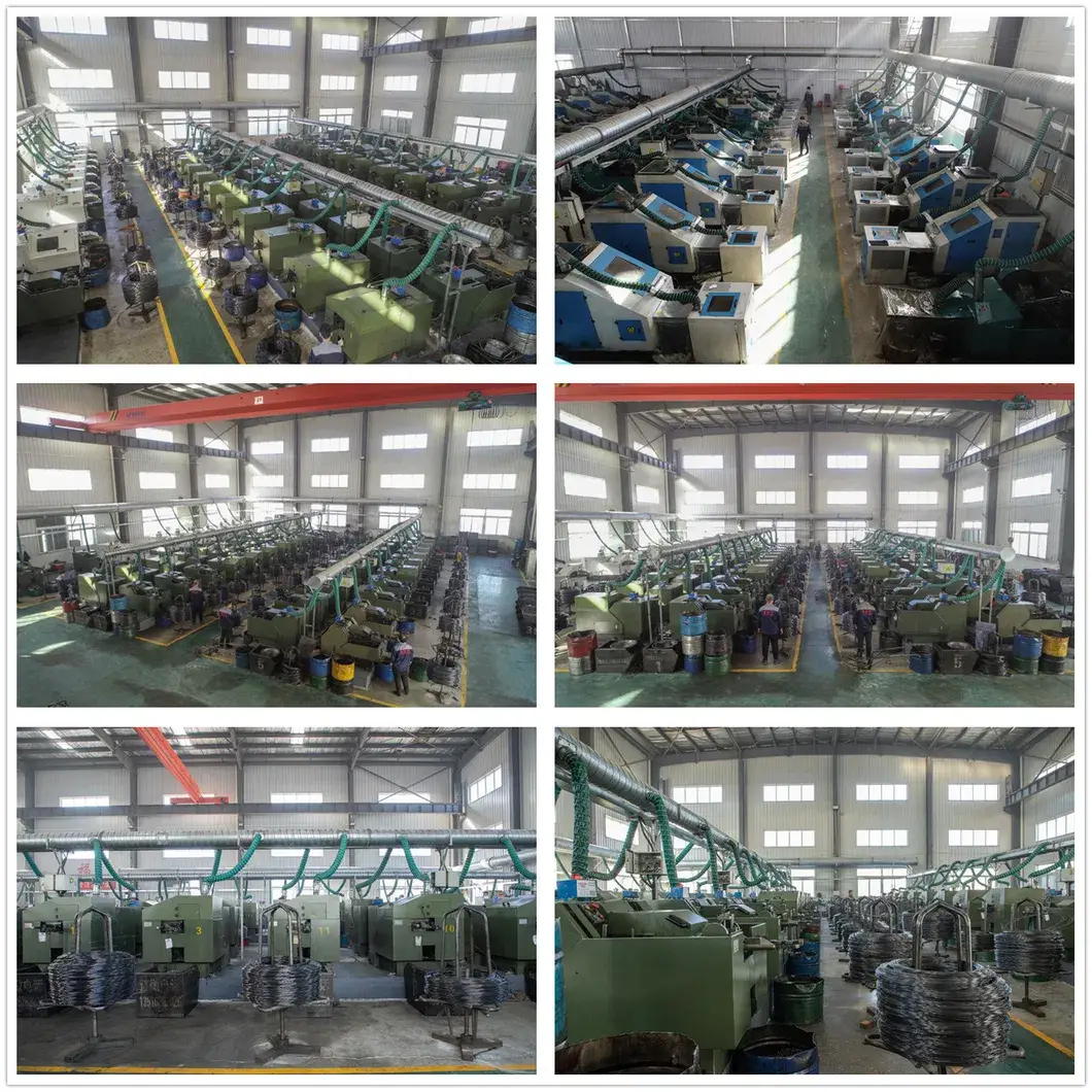 Đa dạng sản phẩm vít: tấm, trần, phẳng, oval, tròn, phô mai, thạch cao hình ảnh 21-description