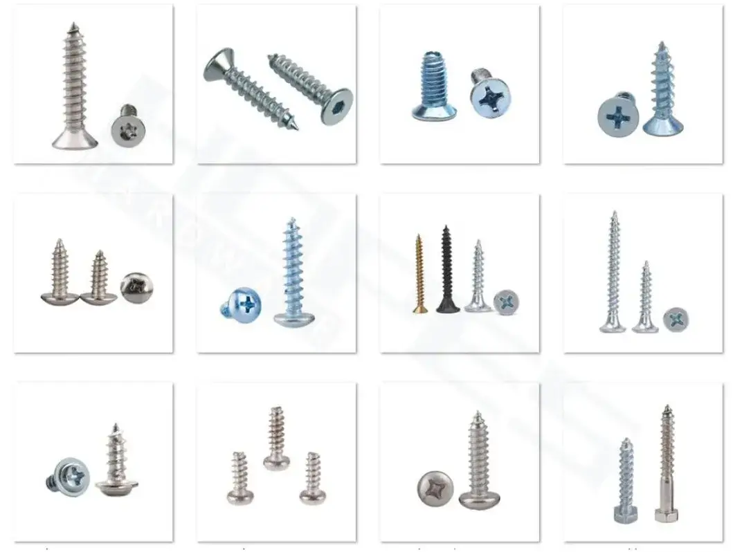 Đa dạng sản phẩm vít: tấm, trần, phẳng, oval, tròn, phô mai, thạch cao hình ảnh 13-description