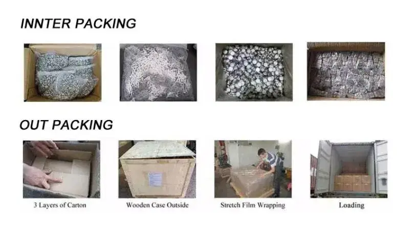 Đa dạng sản phẩm vít: tấm, trần, phẳng, oval, tròn, phô mai, thạch cao hình ảnh 23-description