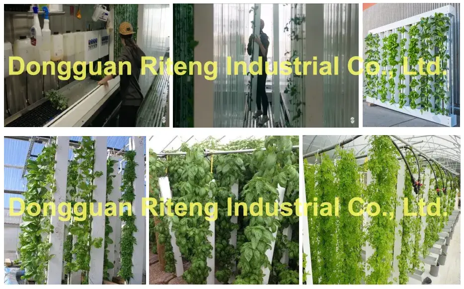 Bảng cây và Kênh PVC - Lựa chọn hoàn hảo cho hệ thống thủy canh của bạn hình ảnh 16-description