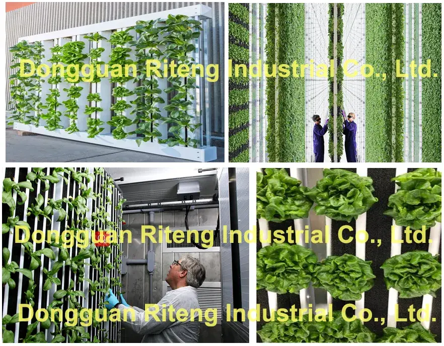 Bảng cây và Kênh PVC - Lựa chọn hoàn hảo cho hệ thống thủy canh của bạn hình ảnh 15-description