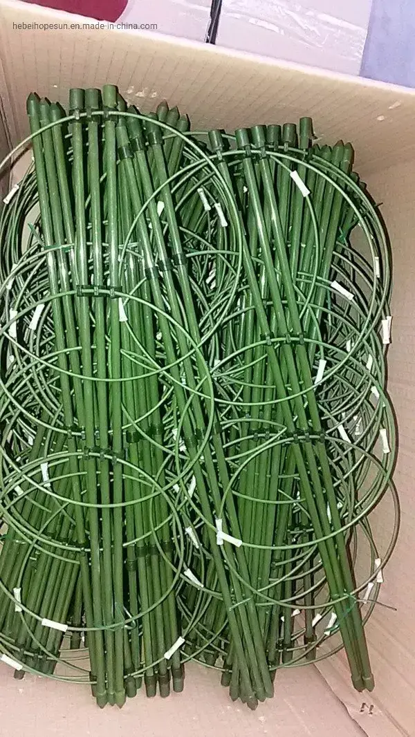Khung đỡ cây cố định với vòng điều chỉnh cho công việc leo