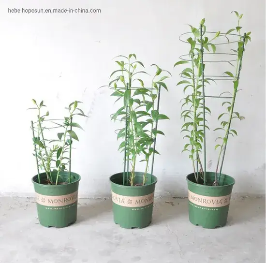 Khung đỡ cây cố định với vòng điều chỉnh cho công việc leo