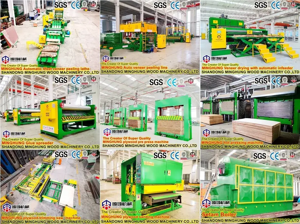 Máy sản xuất plywood: Thiết bị tự động hoàn chỉnh từ bóc vỏ gỗ đến ép nóng, ép lạnh và dán cạnh