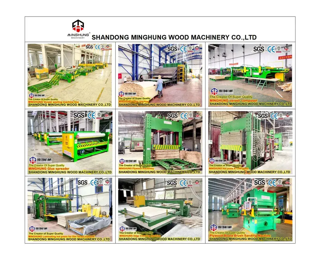 Máy sản xuất plywood: Thiết bị tự động hoàn chỉnh từ bóc vỏ gỗ đến ép nóng, ép lạnh và dán cạnh hình ảnh 27-description