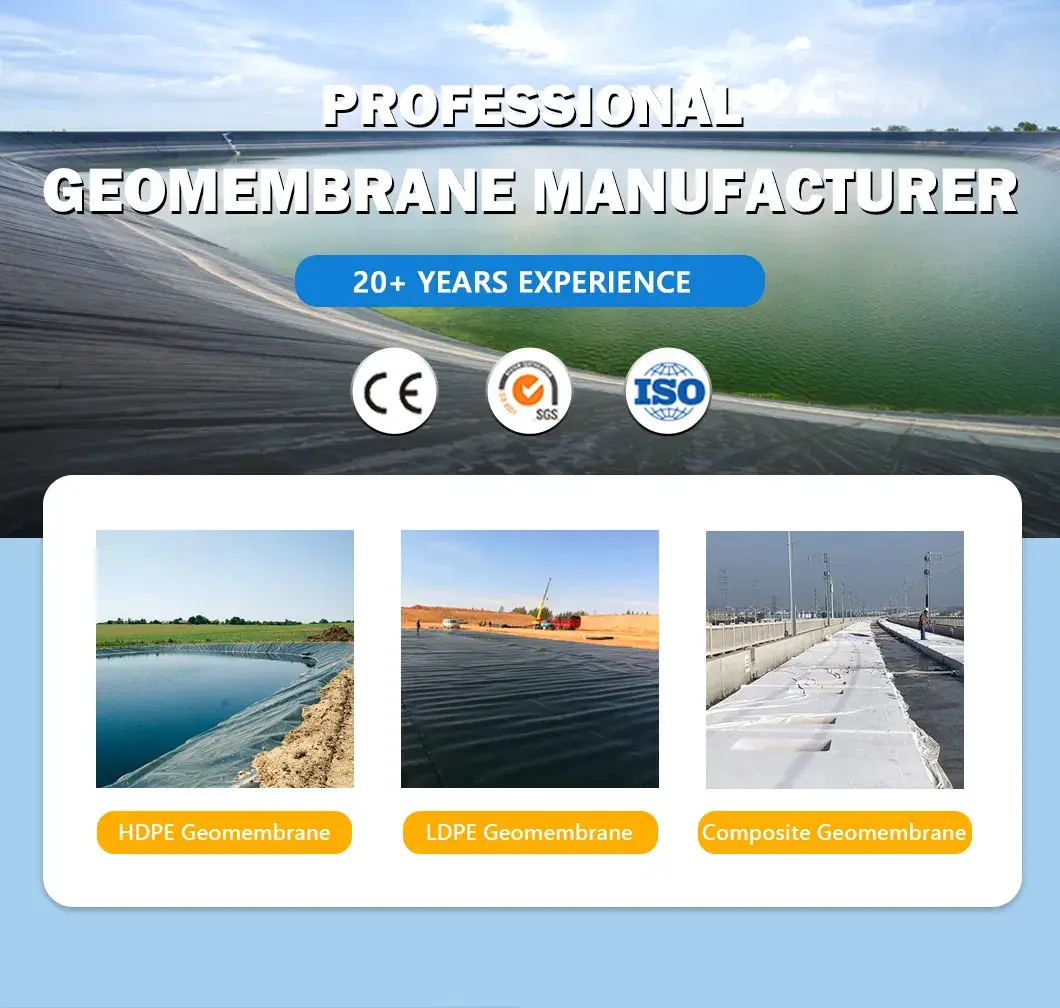 Geomenbrane HDPE/LLDPE chất lượng cao cho lót bảo vệ sườn ao nuôi tôm, cua biển và cá hình ảnh 12-description