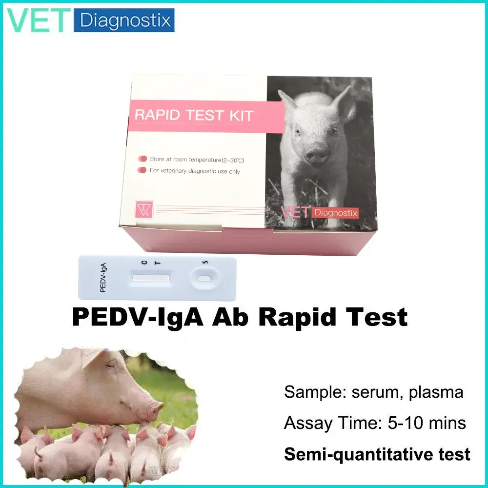 Kiểm tra nhanh vi-rút tiêu chảy mô-lông (PEDV) bằng phương pháp đo IGA hình ảnh 12-description