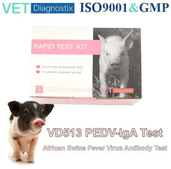 Kiểm tra nhanh vi-rút tiêu chảy mô-lông (PEDV) bằng phương pháp đo IGA