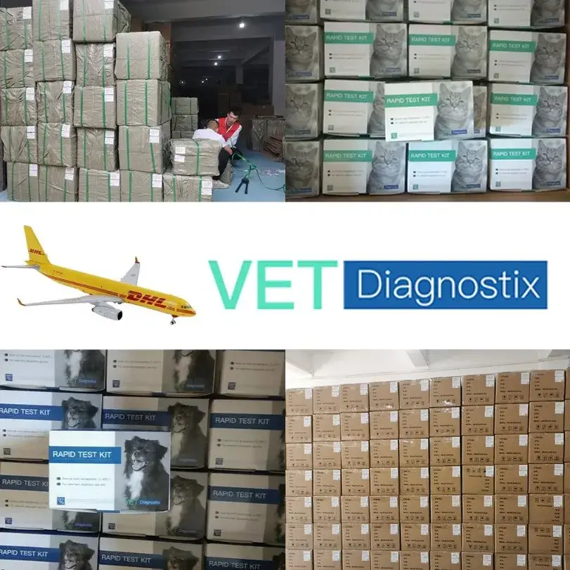 Kiểm tra nhanh vi-rút tiêu chảy mô-lông (PEDV) bằng phương pháp đo IGA hình ảnh 19-description